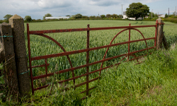 Rural Development Assessments